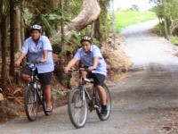 biking in coromandel